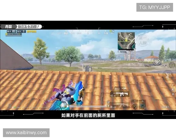 和平精英V5个人能力引发热议玩家对其表现褒贬不一