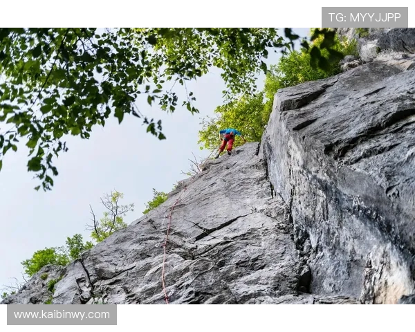 攀岩焦点：重庆攀岩队的状态探讨