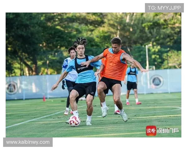 深圳篮球队实力大变革引发热议球迷期待新赛季的精彩表现与突破