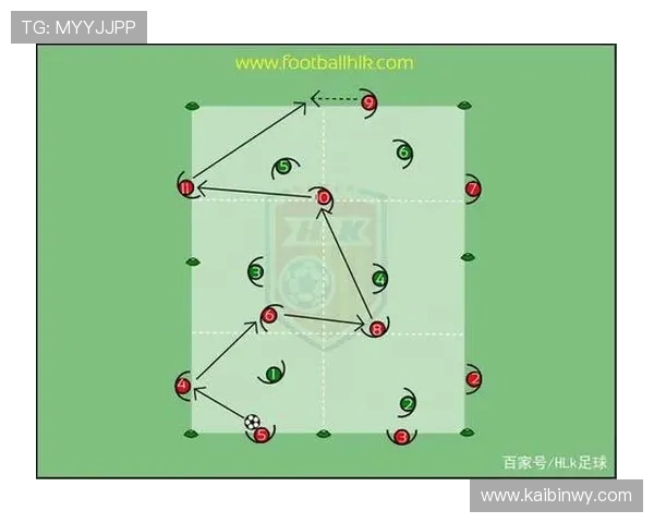 深圳飞盘队反击战术深度解析与实战应用探讨